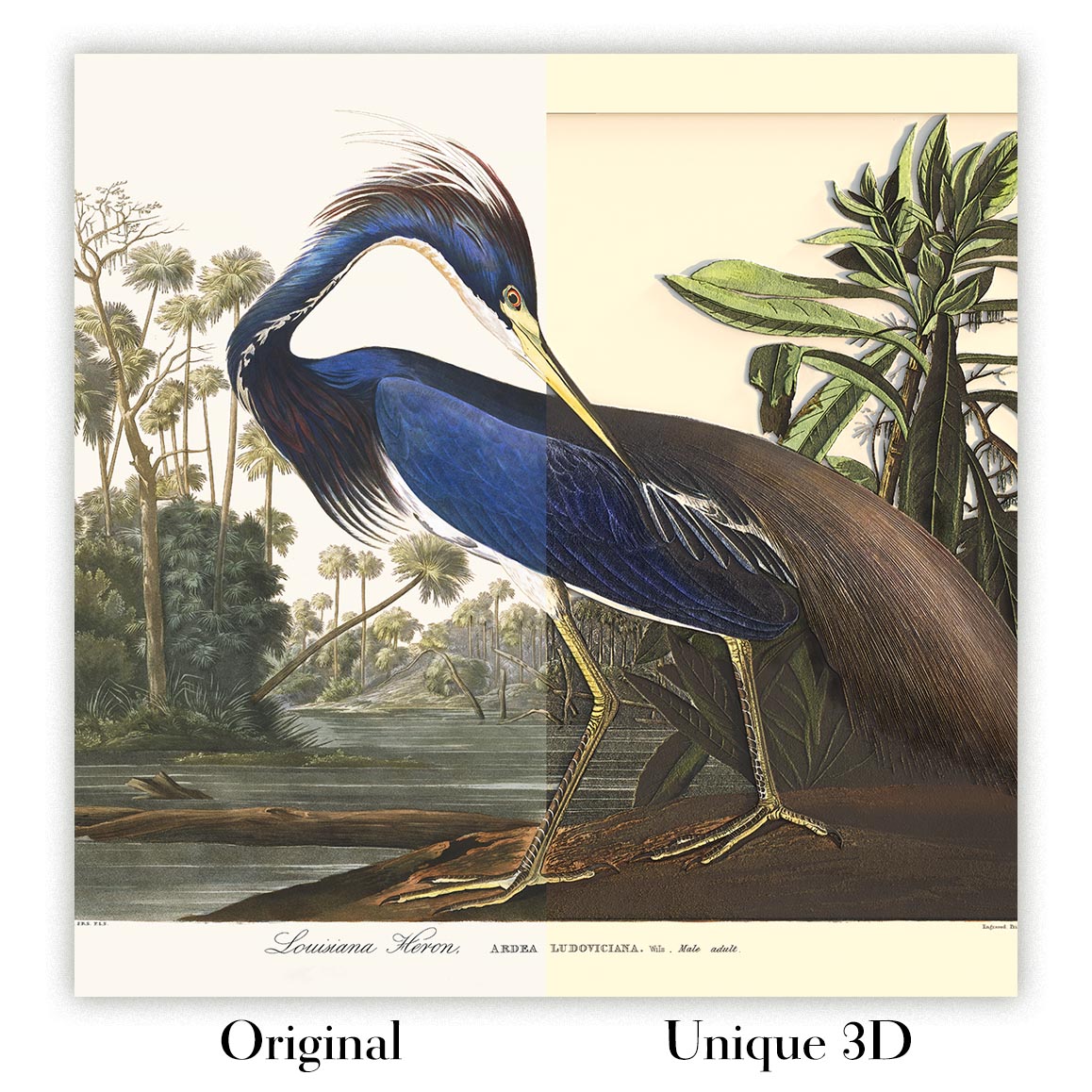 Image showing the difference between Original art and art that has undergone the Unique 3D transformation